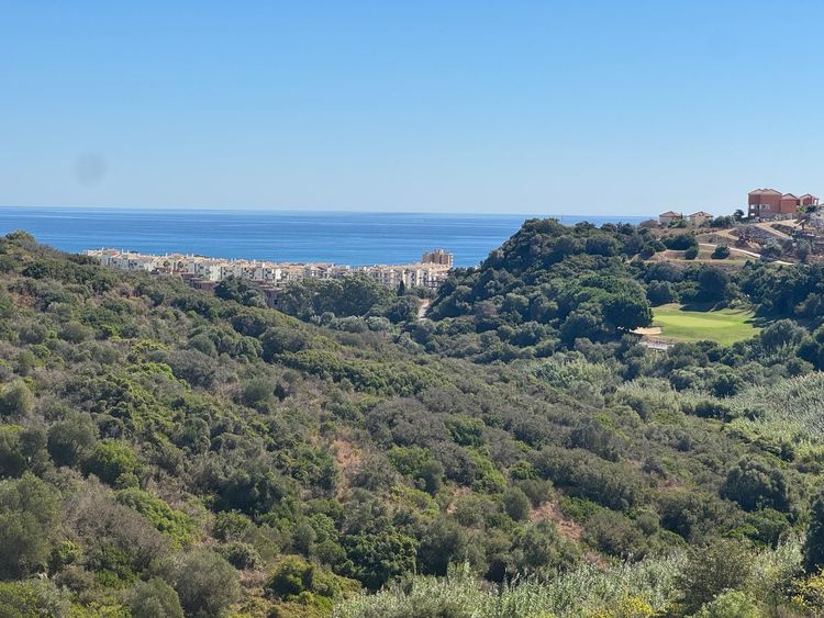 listing card gallery