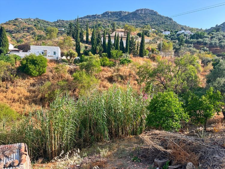 House | Resale in Comares in Comares, Costa del Sol - Photo 4