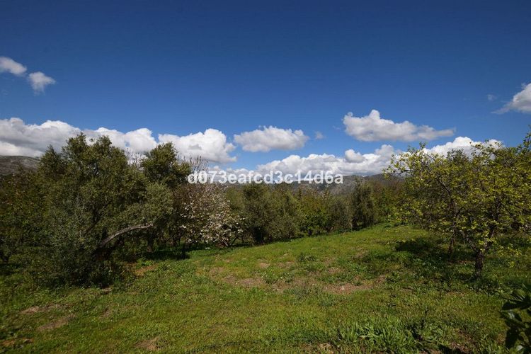 House | Resale in Cartajima in Cartajima, Costa del Sol - Photo 5