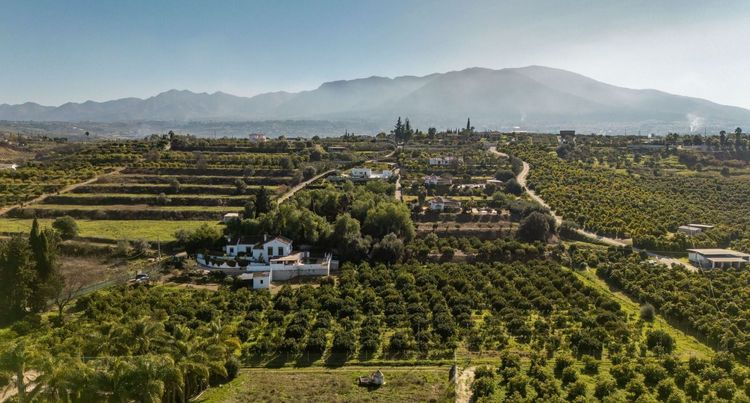 House | Resale in Alhaurín el Grande in Alhaurín el Grande, Costa del Sol - Photo 3