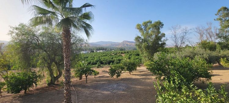 House | Resale in Pizarra in Pizarra, Costa del Sol - Photo 3