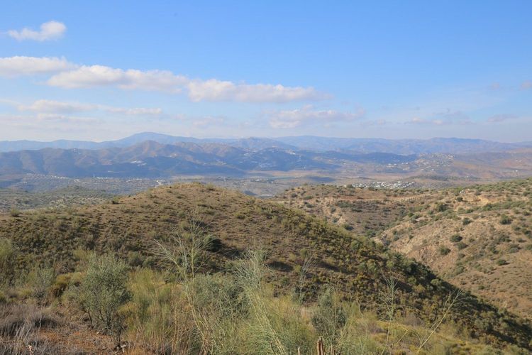 listing card gallery