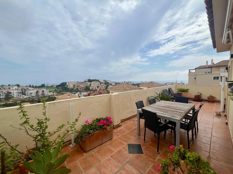 listing card gallery