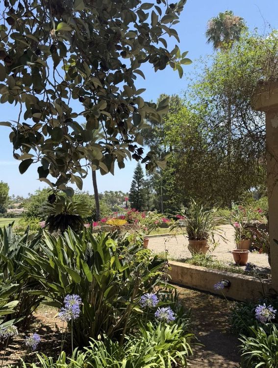 House | Resale in Sotogrande Costa in Sotogrande Costa, Costa del Sol - Photo 4