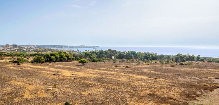 Apartment | Resale in Punta Prima in Punta Prima, Costa Blanca - Photo 5