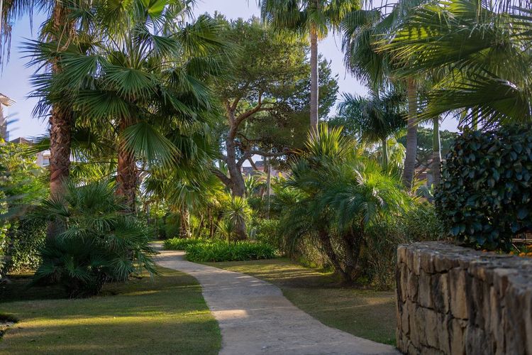 Apartment | Resale in Marbella in Marbella Others, Costa del Sol - Photo 3