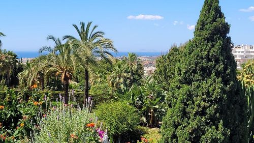 Apartment | Resale in The Golden Mile — The Golden Mile, Costa del Sol
