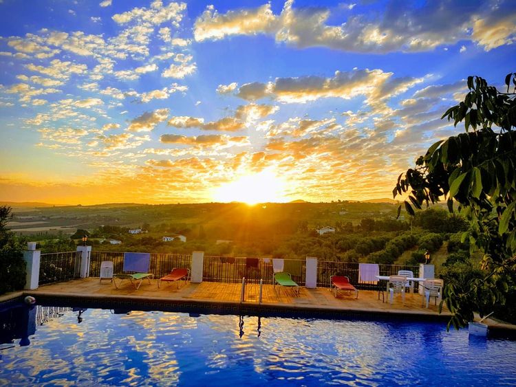 listing card gallery