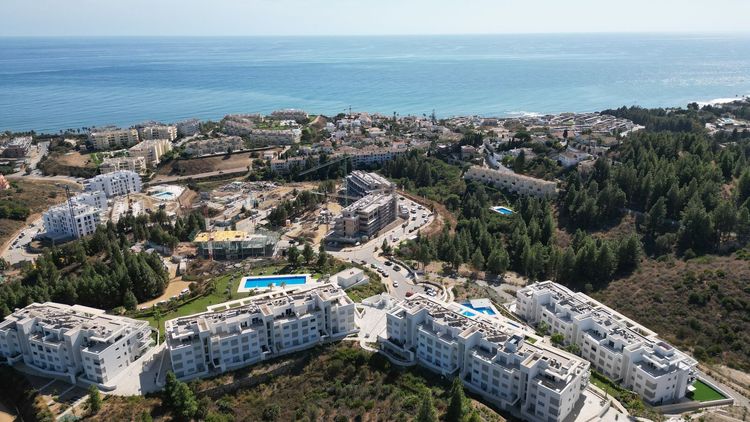 listing card gallery