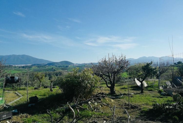 House | Resale in Villafranco del Guadalhorce in Villafranco del Guadalhorce, Costa del Sol - Photo 4