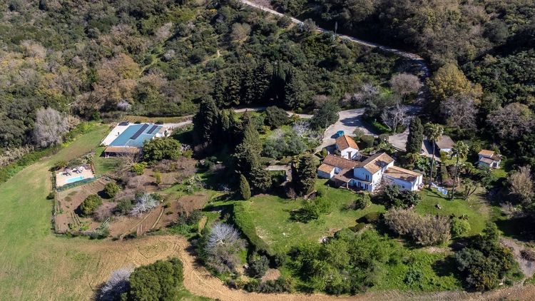 listing card gallery