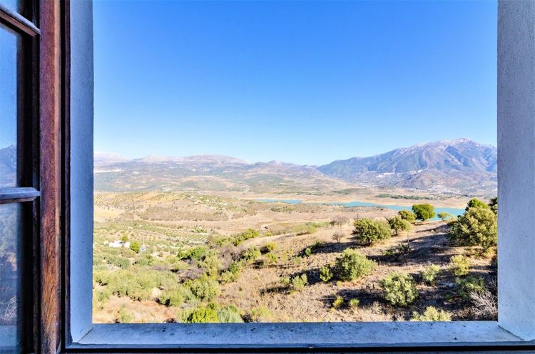 listing card gallery