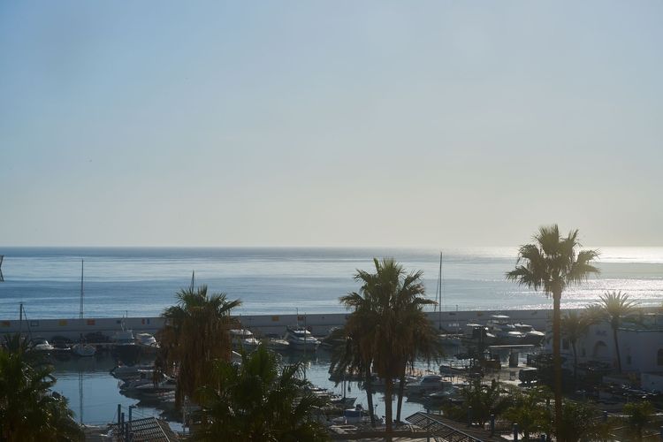 Apartment | Resale in Marbella in Marbella, Costa del Sol - Photo 2