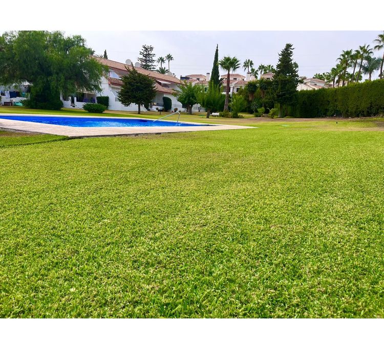 listing card gallery