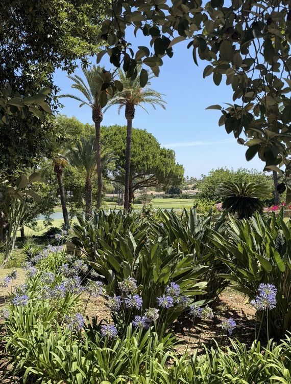 House | Resale in Sotogrande Costa in Sotogrande Costa, Costa del Sol - Photo 3
