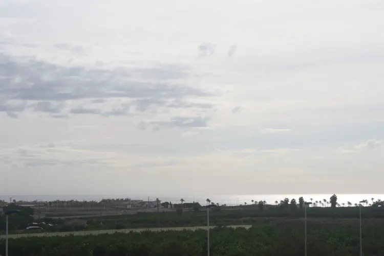 Viveros II in Torrevieja, Costa Blanca - Photo 2