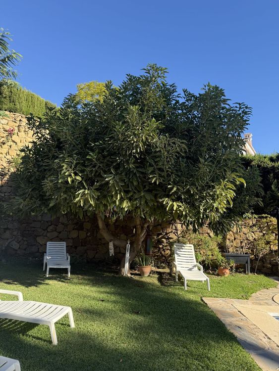 House | Resale in Calahonda in Calahonda, Costa del Sol - Photo 3