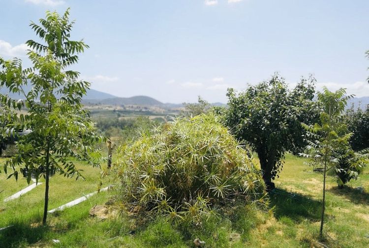 House | Resale in Villafranco del Guadalhorce in Villafranco del Guadalhorce, Costa del Sol - Photo 3