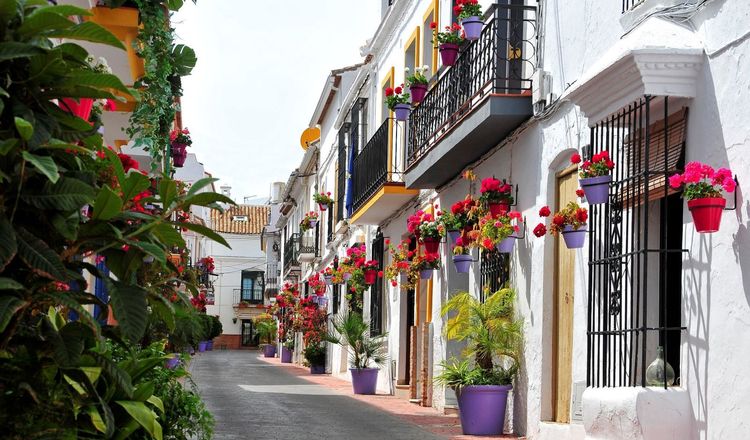 listing card gallery