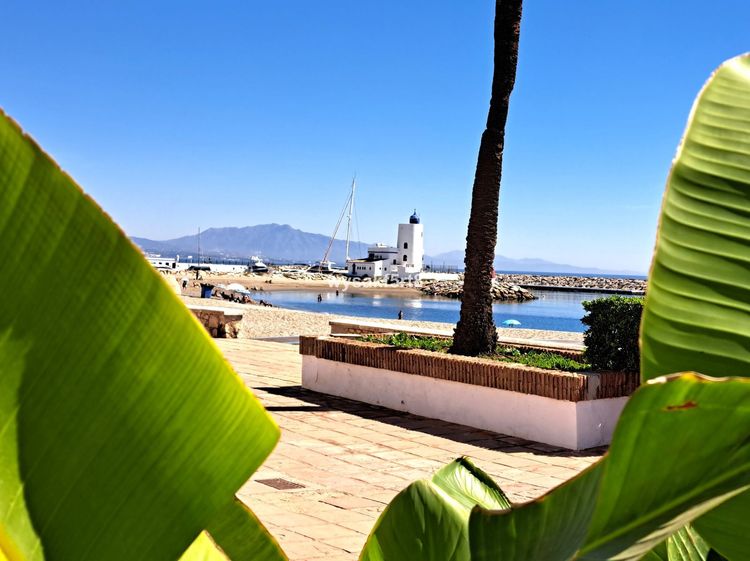 listing card gallery