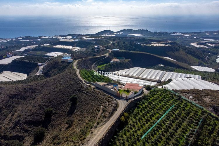 House | Resale in Algarrobo - Development photo 1