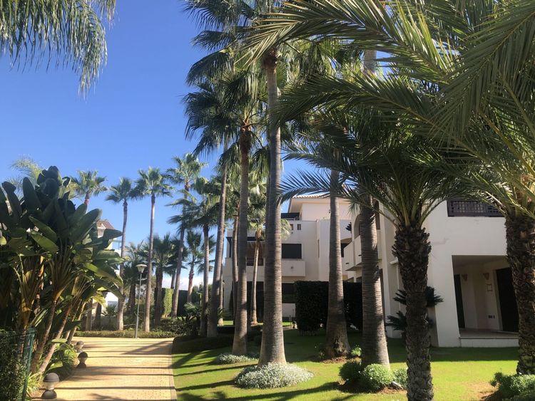 Apartment | Resale in Nueva Andalucía - Development photo 1