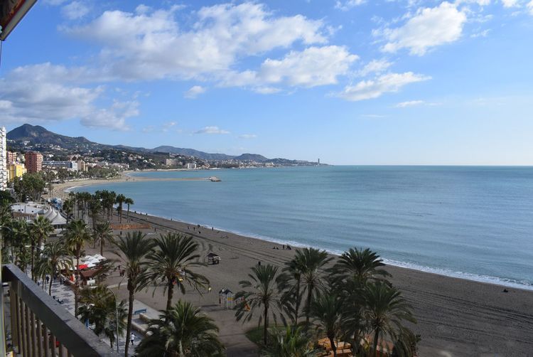 listing card gallery