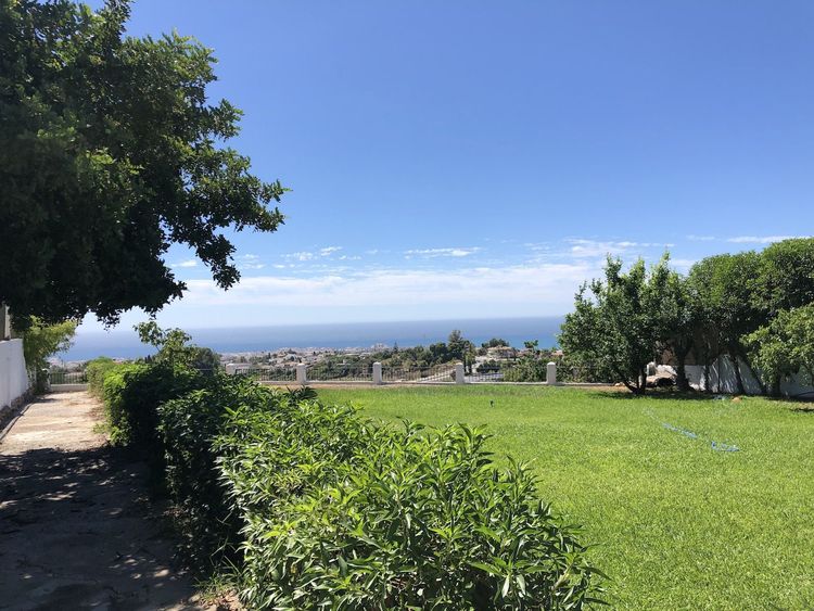 listing card gallery