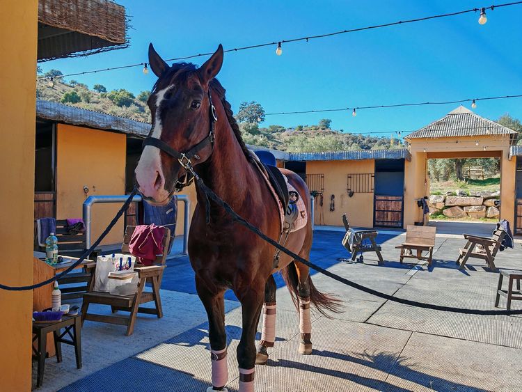House | Resale in Coín in Coín, Costa del Sol - Photo 5