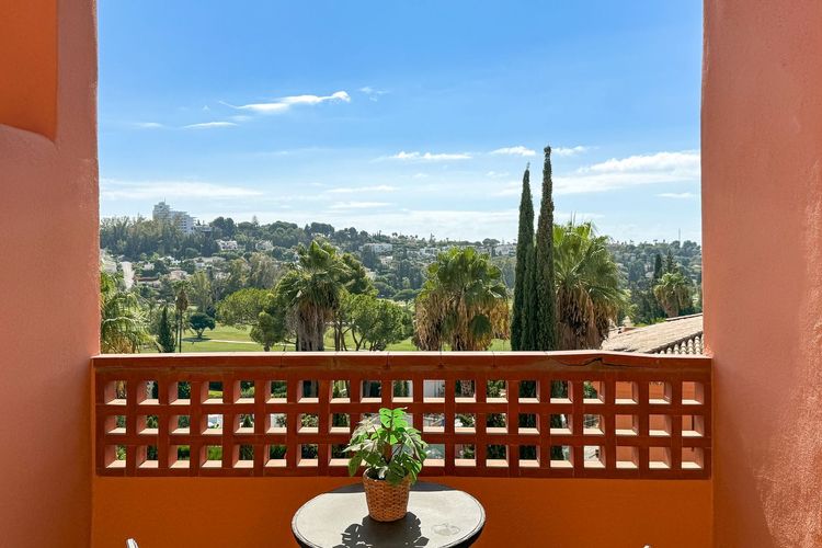 listing card gallery