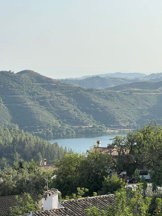 listing card gallery