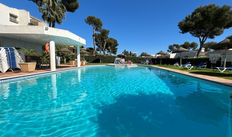 listing card gallery