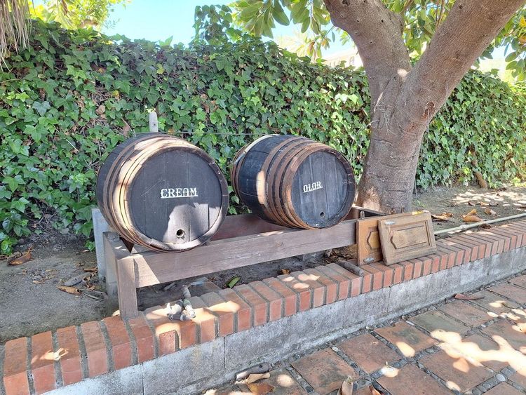 House | Resale in Estepona in Estepona, Costa del Sol - Photo 5