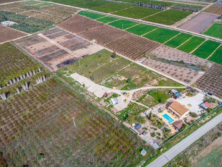 House | Resale in Crevillent in Costa Blanca - Photo 3