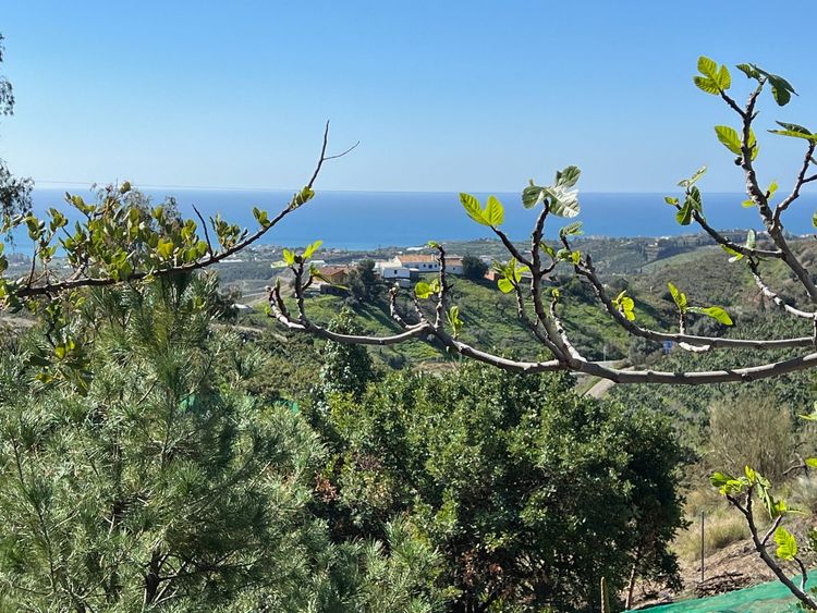 House | Resale in Almayate in Almayate, Costa del Sol - Photo 4