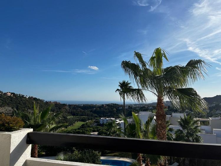 listing card gallery