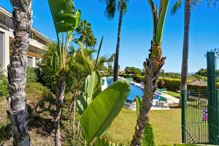 listing card gallery