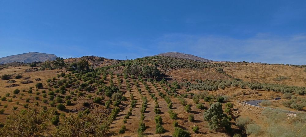 House | Resale in Málaga in Málaga, Costa del Sol - Main property photo