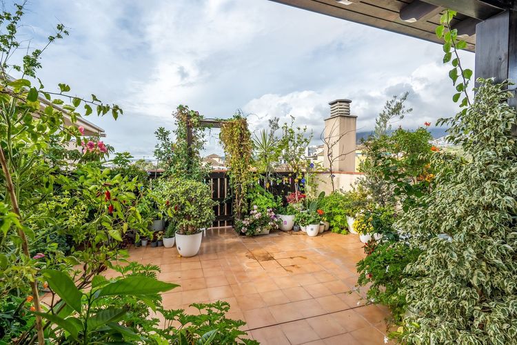 Penthouse | Resale in Estepona - Development photo 1