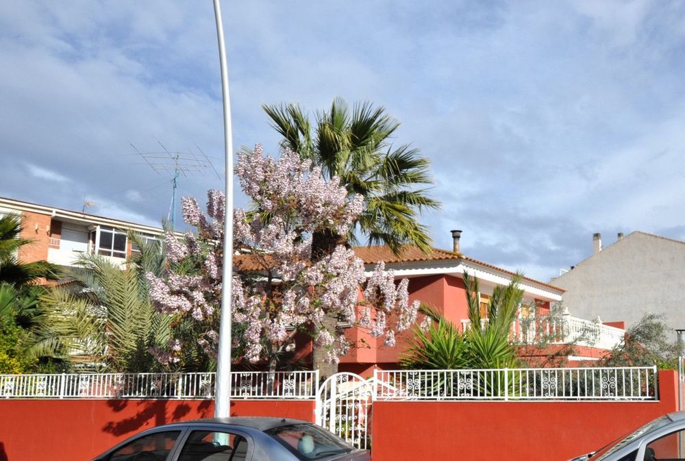 House | Resale in Sax in Costa Blanca - Main property photo