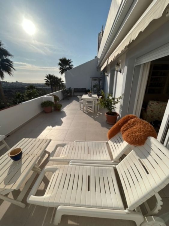 listing card gallery