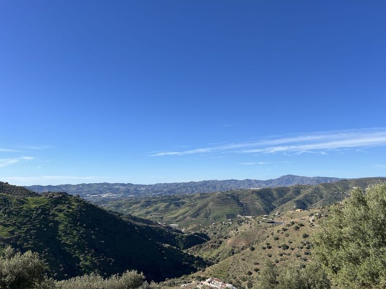 listing card gallery