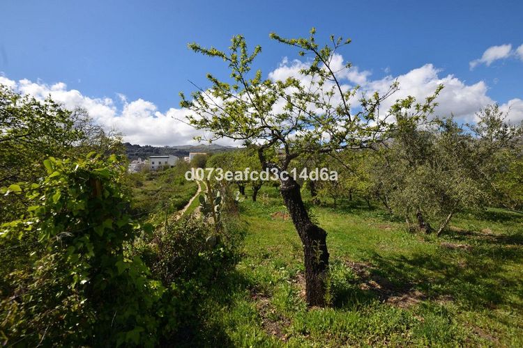 House | Resale in Cartajima in Cartajima, Costa del Sol - Photo 4