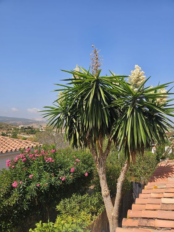 House | Resale in Manilva in Manilva Others, Costa del Sol - Photo 4