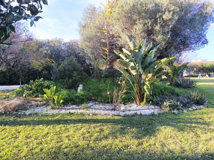 House | Resale in Ondara in Costa Blanca - Photo 4