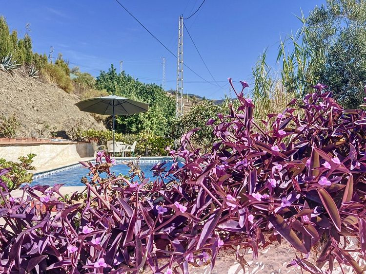 House | Resale in Sedella - Development photo 1