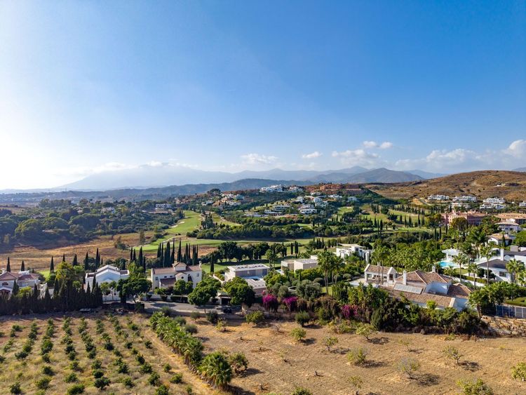 listing card gallery