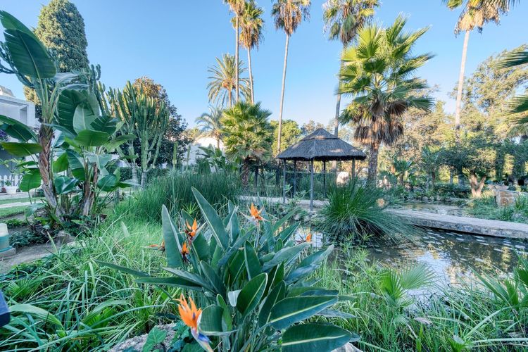 Apartment | Resale in Mijas Golf in Mijas Golf, Costa del Sol - Photo 4