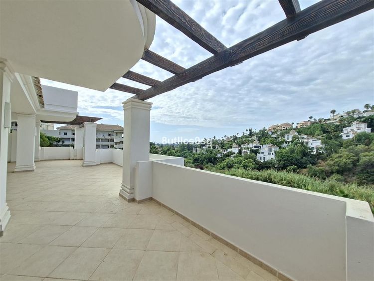 listing card gallery