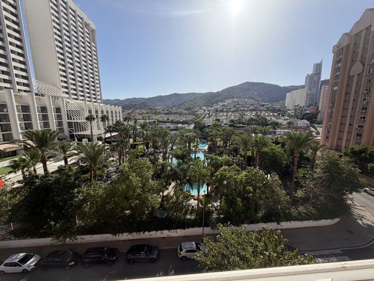 Apartment | Resale in Benidorm in Benidorm, Costa Blanca - Photo 5